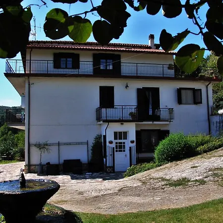 Grillo Verde