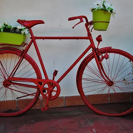 Grillo Verde Fiuggi
