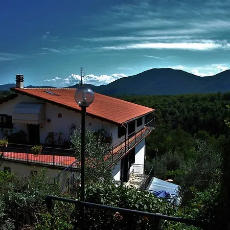 Grillo Verde *
