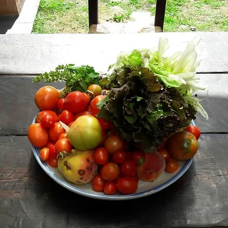 Grillo Verde *